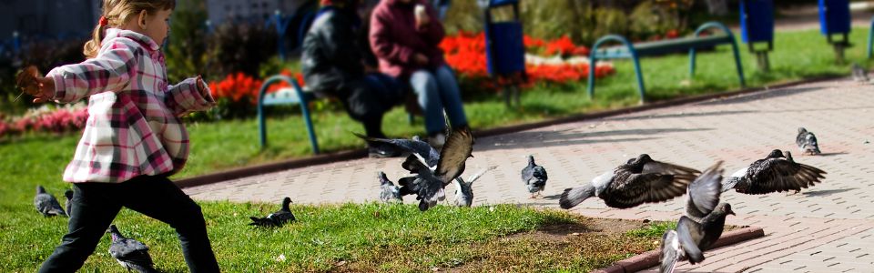 Girl chasing pigeons in a park